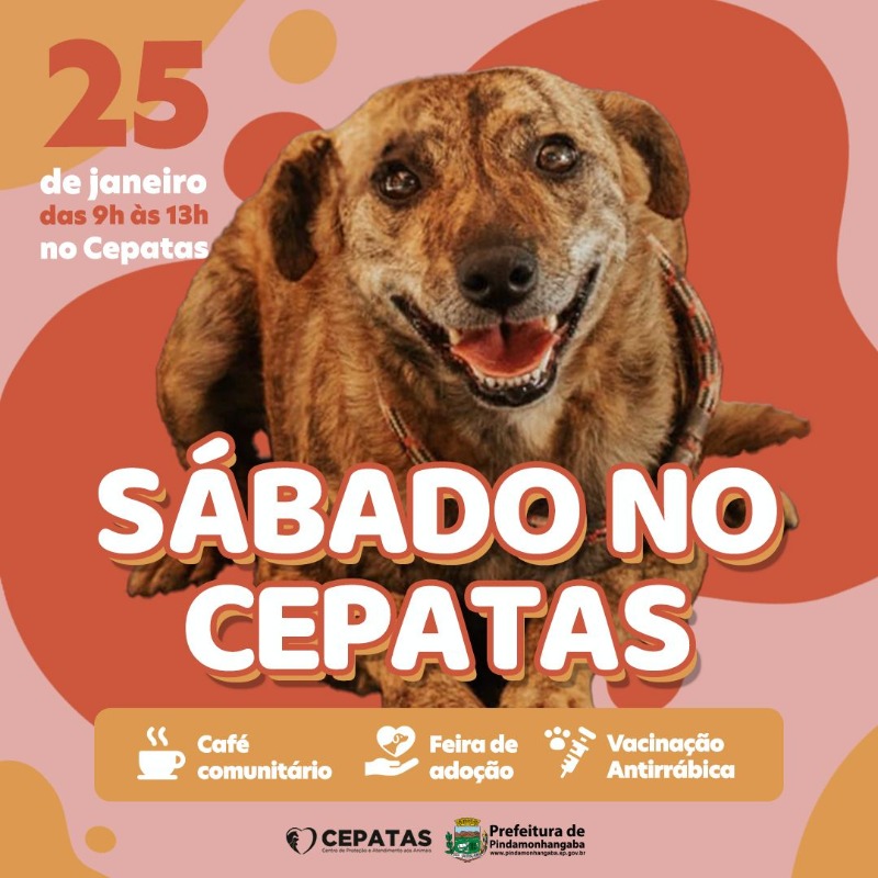 Sábado no Cepatas