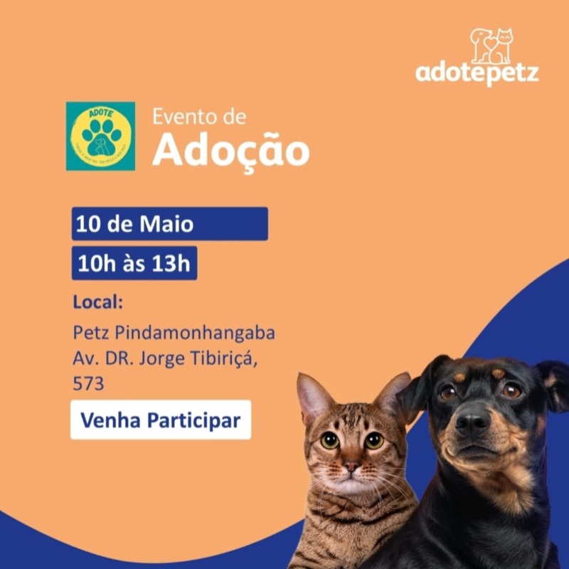 Evento de adoção