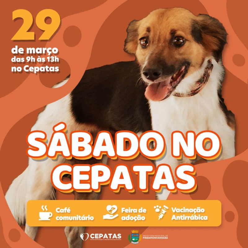 Sábado