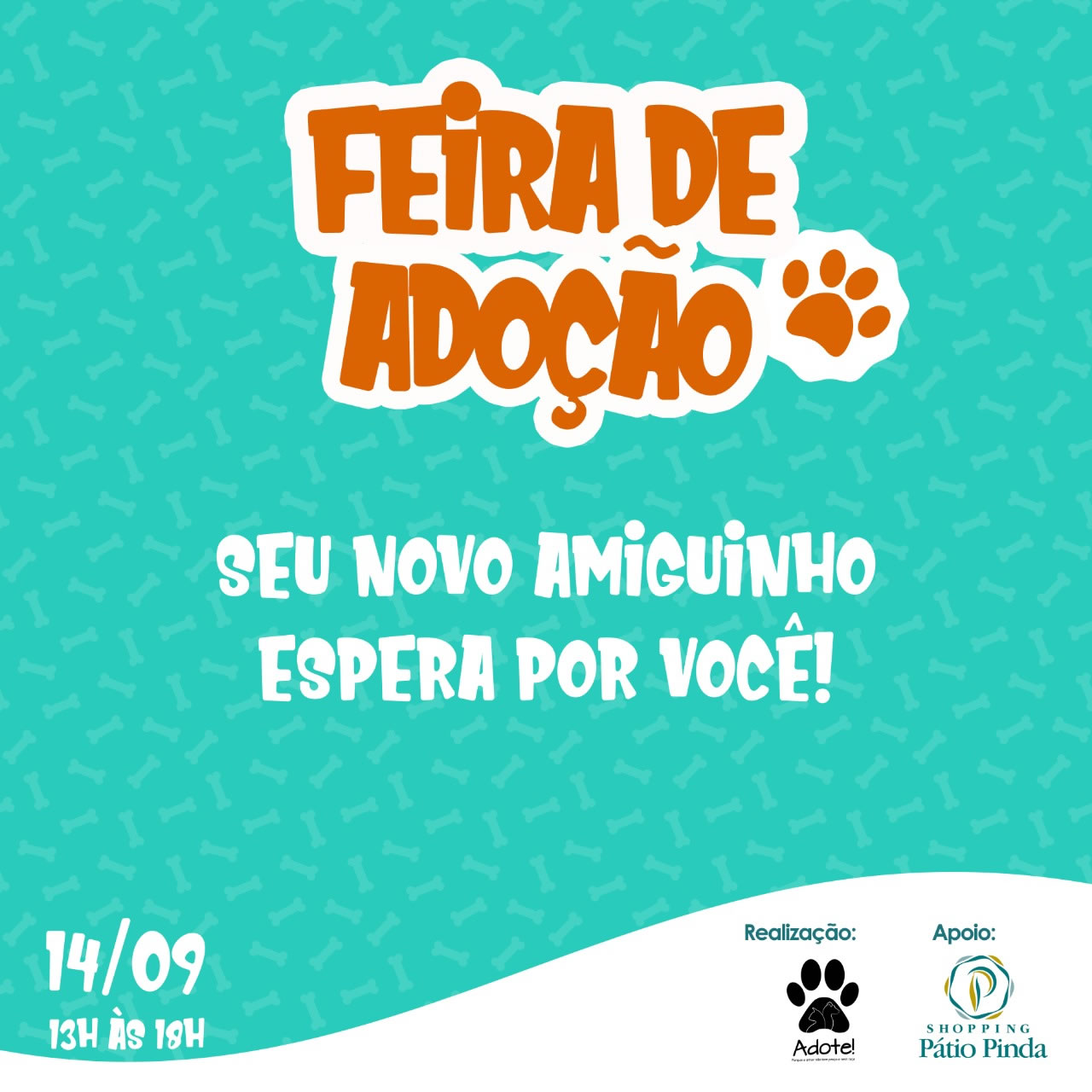 Feira de Adoção